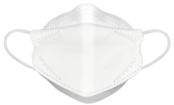 Dent-X FN-N95-510 Earloop Respirator