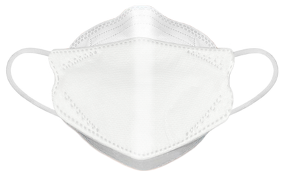 Dent-X FN-N95-510 Earloop Respirator
