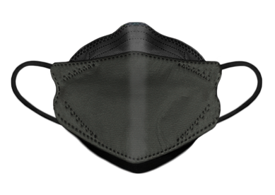 Dent-X FN-N95-510 Earloop Respirator